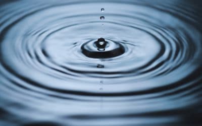Liquid
