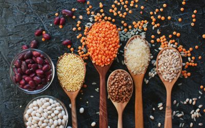 Guidelines for A Kapha Diet