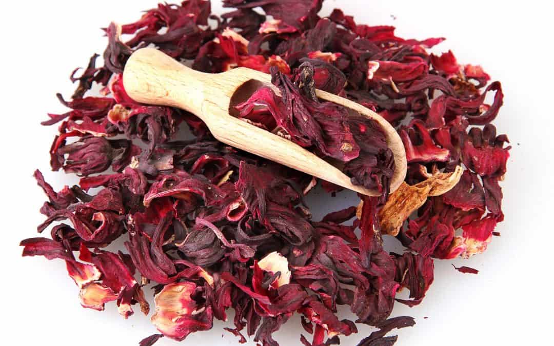 Hibiscus