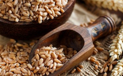 Spelt