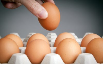 Egg