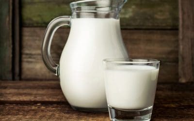 Milk