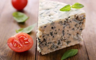 Cheese with Mold