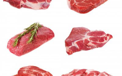 About Animal Food