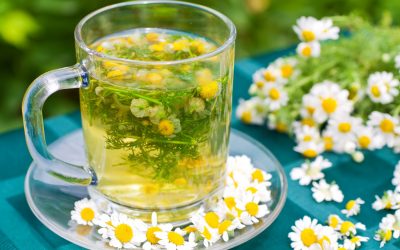 Chamomile