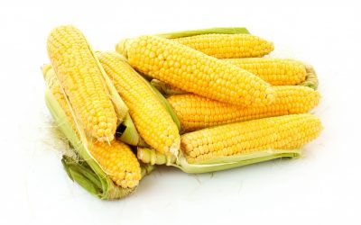 Corn