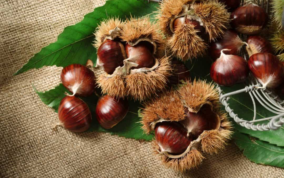 Chestnuts
