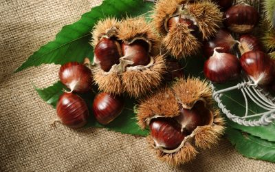 Chestnuts