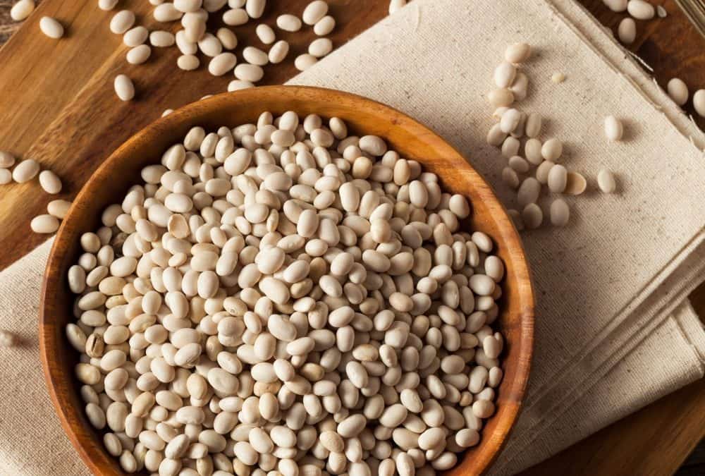 White Navy Bean