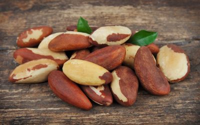 Brazil Nut