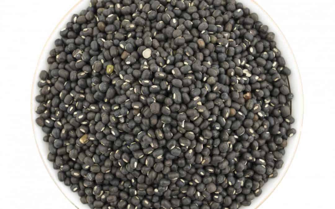 Black Mung Bean