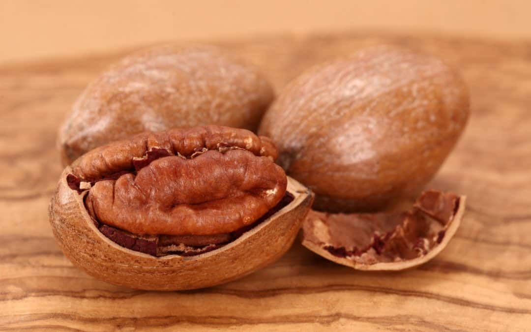 Pecan