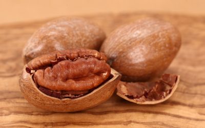 Pecan