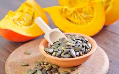 Pumpkin Seed