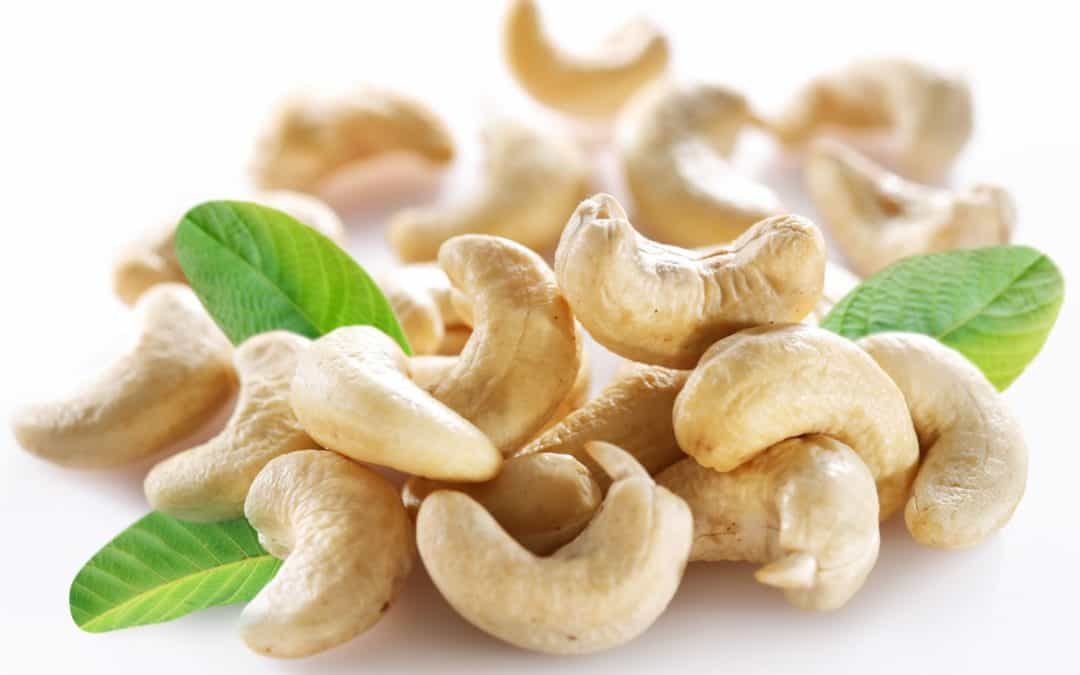 Cashew