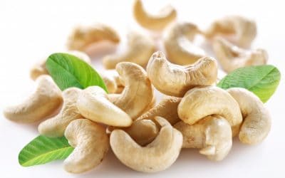 Cashew