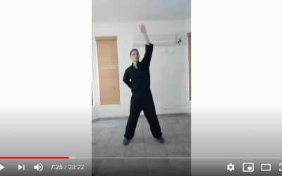 Flexmobility Routine Part 2 – Advanced Joint Rotations